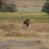  Ngorongoro Crater, TZ